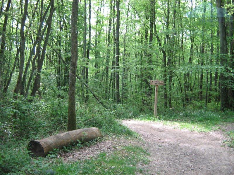 IMG0850